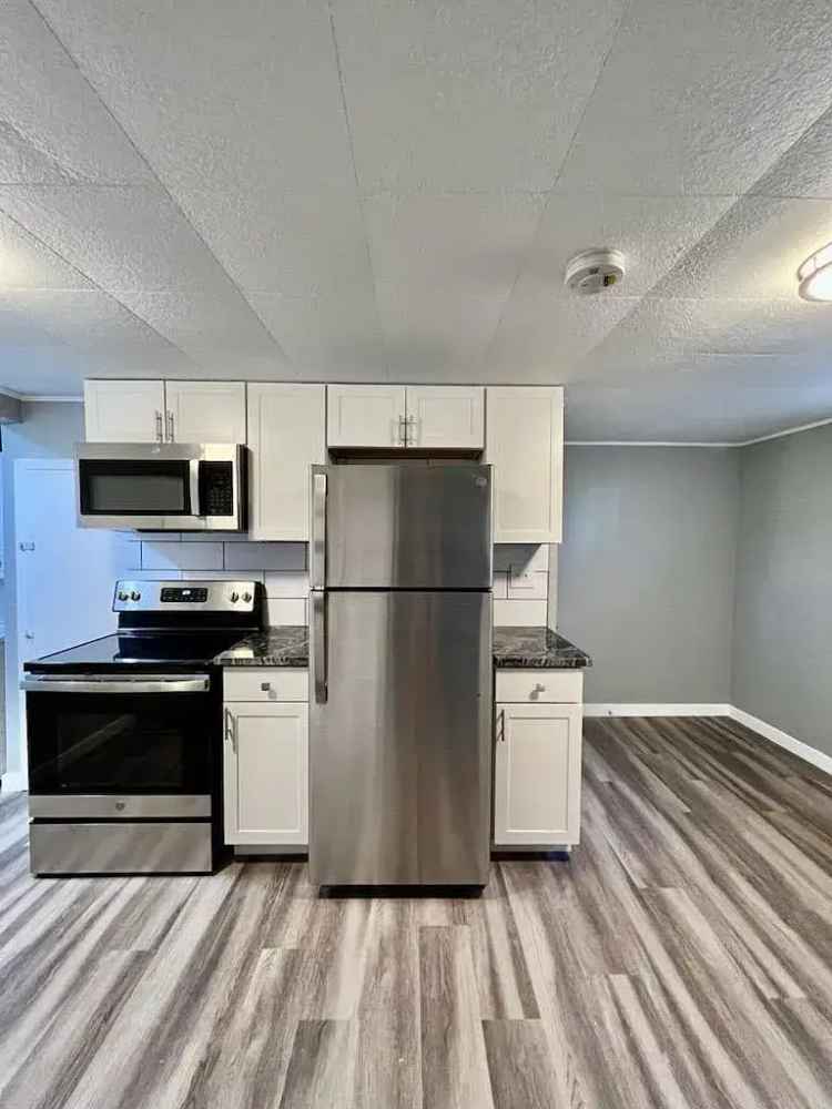 Rent Beautifully Remodeled Apartment in Greeley with Modern Amenities