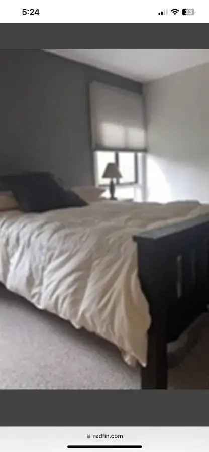 Rent One Bedroom Apartment Unit in Norwood with Modern Features