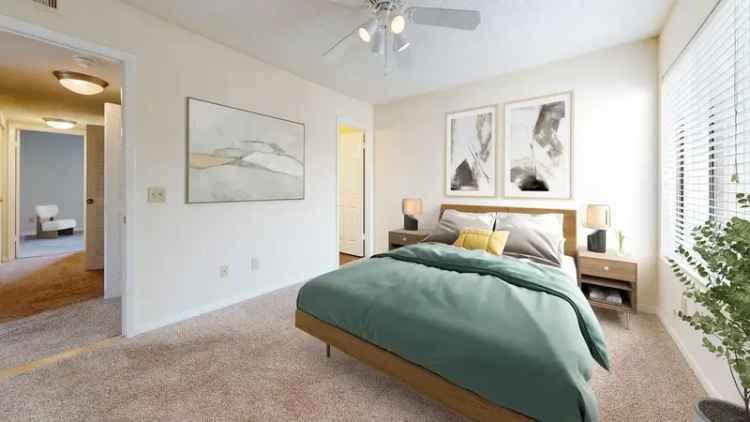 Rent Apartments in Winter Park with Modern Features and Amenities