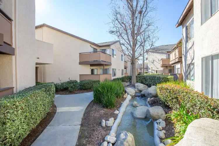 Rent Mountain View Apartments with Spacious Layouts and Great Amenities