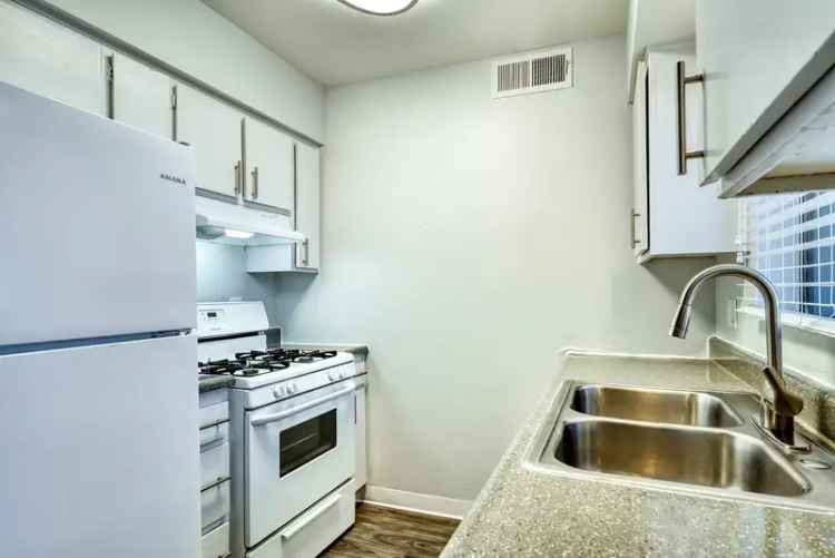 Rent Apartments in Phoenix with Great Amenities and Spacious Living