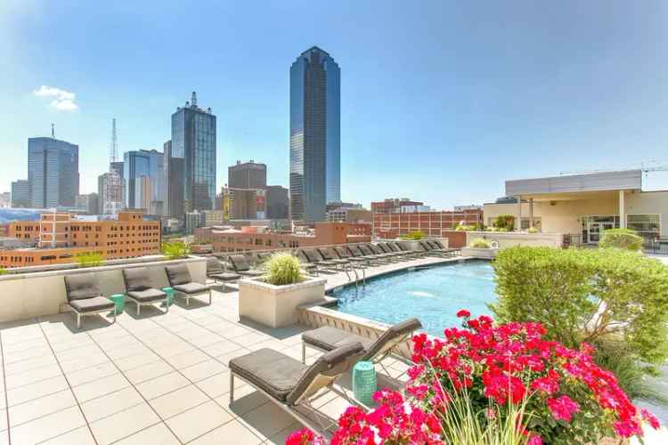 Rent Apartments in Dallas with Unique Features and City Views