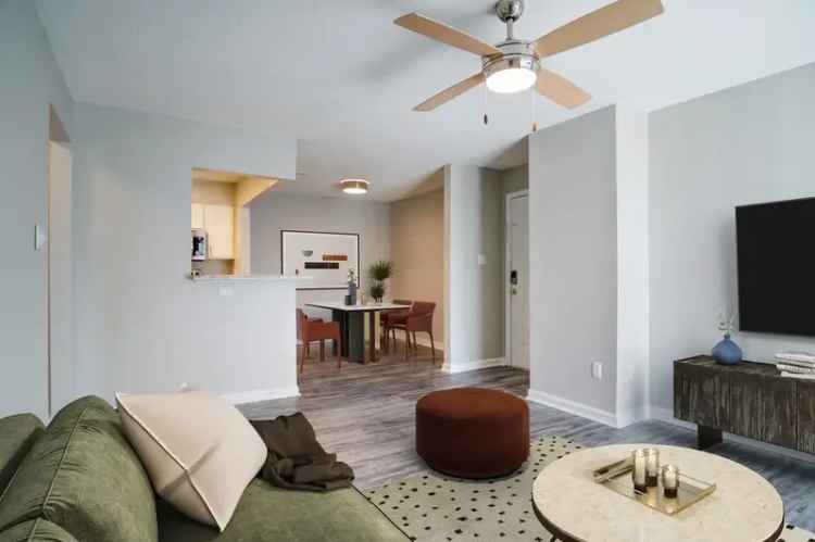 Rent Apartments in Macon with Modern Comfort and Southern Charm