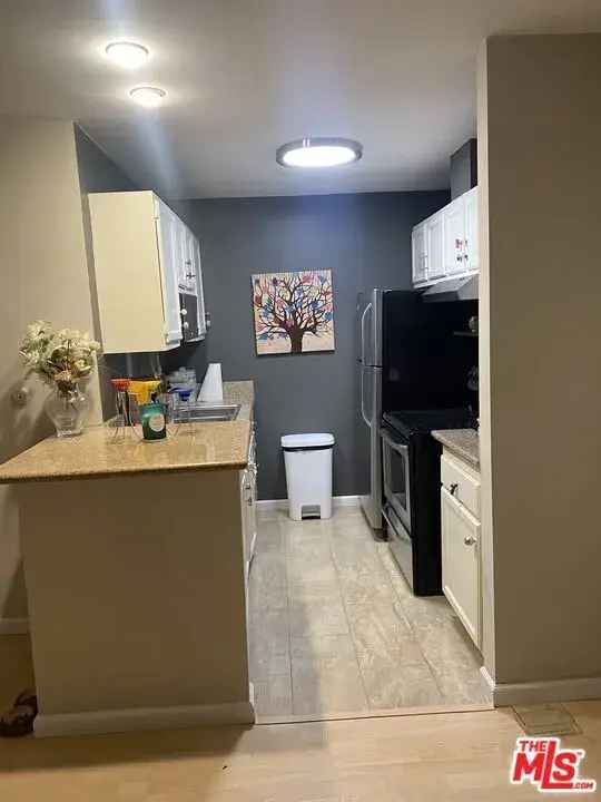 Rent Apartment Unit with Modern Features Near Metro and Larchmont Village