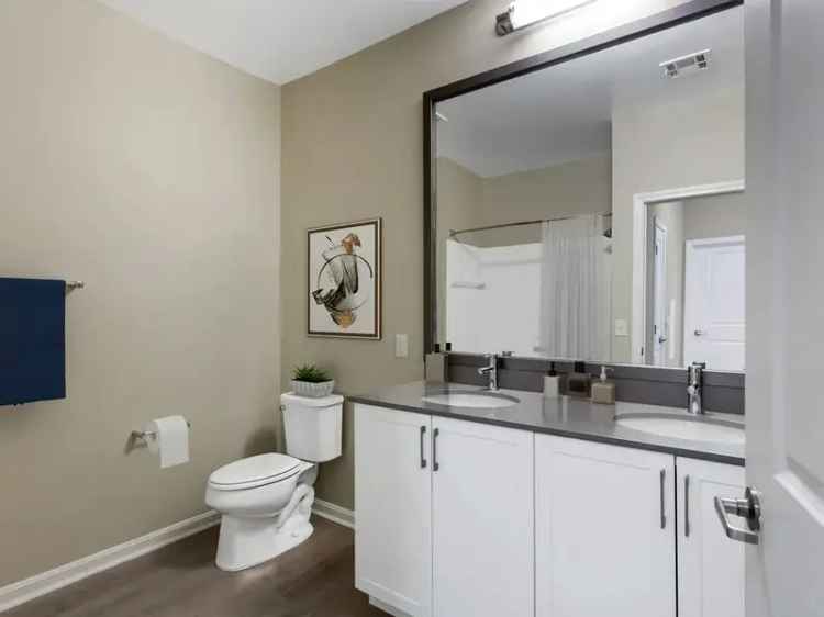 Rent Apartments in Marlborough with Contemporary Features and Amenities