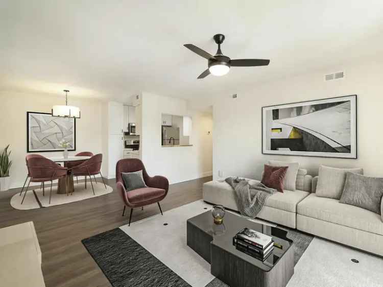 Rent stylish apartments with modern finishes and spacious layouts