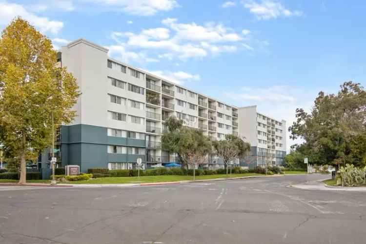 Rent Apartments at Avenue Two in Redwood City with Modern Amenities