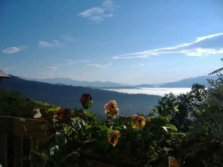 Rent Furnished Apartment Unit with Mountain Views in Treetop Living