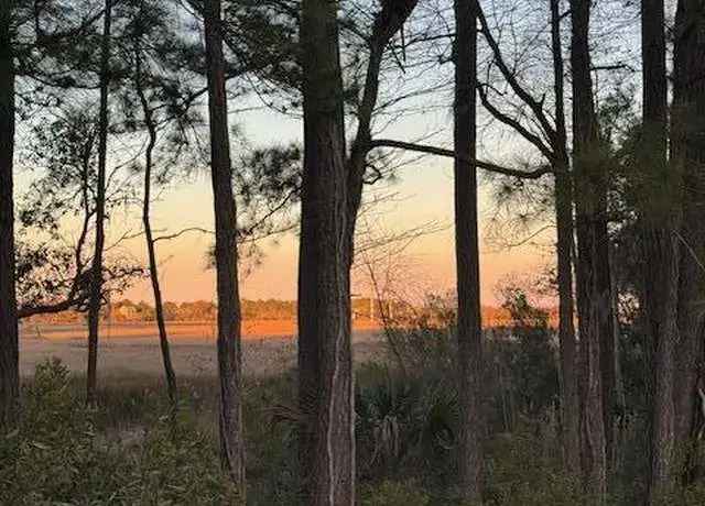 Land For Sale in 1266, Fenwick Plantation Road, Charleston, South Carolina