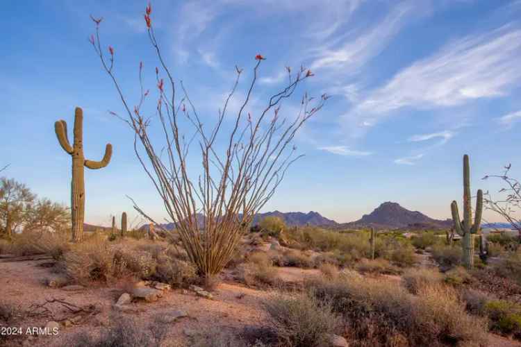 Land For Sale in 28661, North 114th Street, Scottsdale, Arizona