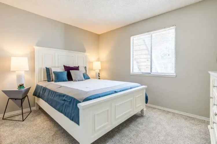 Rent Apartment in Denver with Modern Amenities and Pet-Friendly Features