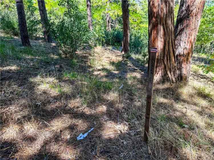 Land For Sale in 27530, North Bay Road, Lake Arrowhead, California