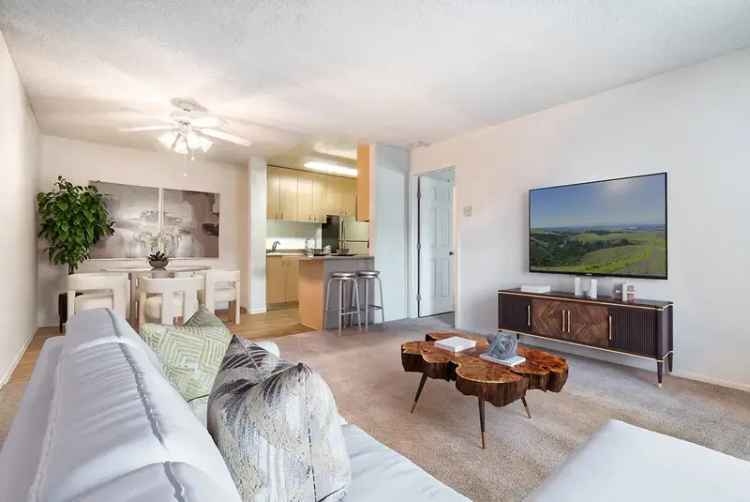 Rent Apartments in Campbell CA with Modern Features and Great Amenities