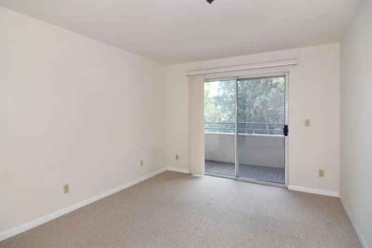 Rent Apartment Unit in Albany with Pool Gym and Tennis Court