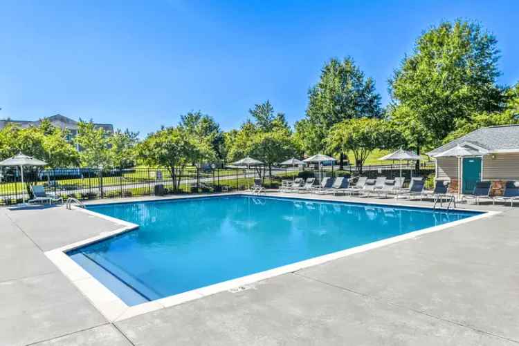 Rent Apartments in Charlotte with Modern Comfort and Southern Elegance