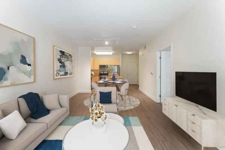 Rent Apartments in Walnut Creek with Modern Amenities and Great Features