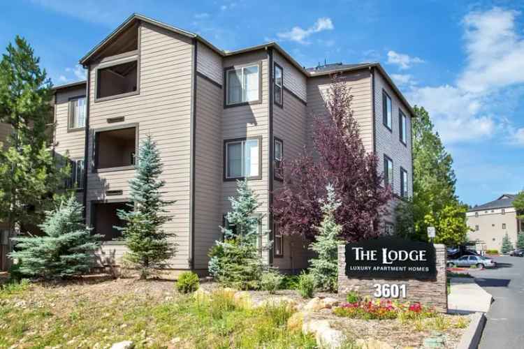 Rent Luxury Apartments at The Lodge with Great Amenities