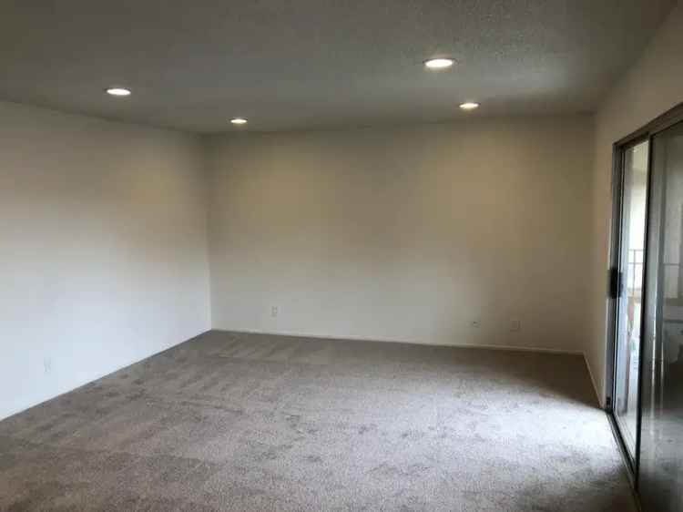 Rent Apartment Unit in Point Richmond with Modern Features