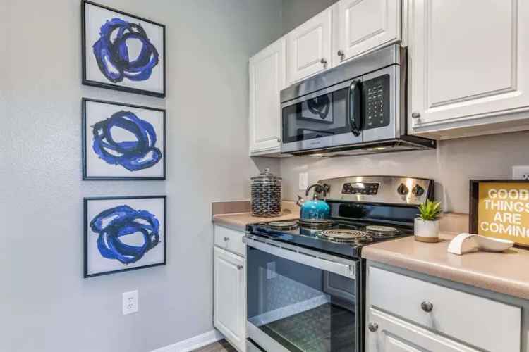 Rent Apartments in San Marcos TX with Resort Style Amenities