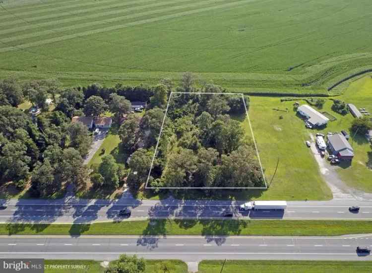 Land For Sale in Georgetown, Delaware