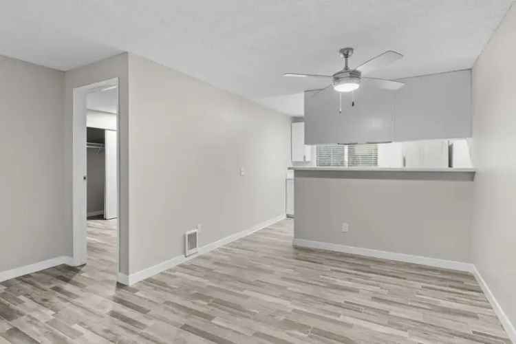 Rent Beautifully Designed Apartments in Spinnaker Overlook