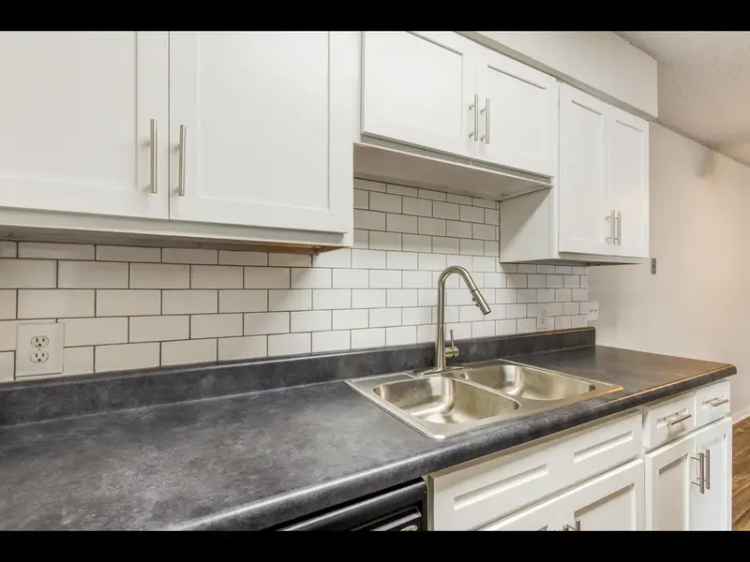 Rent Apartments in Greenville with Modern Finishes and Community Vibe