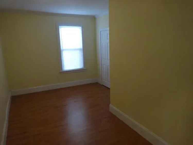 Rent 4 Bedroom Apartment in Brighton MA with Spacious Layout and Sunlight