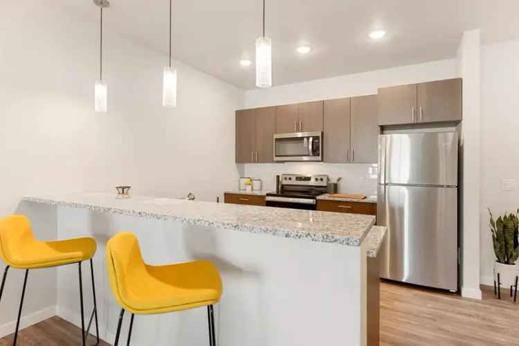 Rent Modern Apartments with Amenities in a Vibrant Community