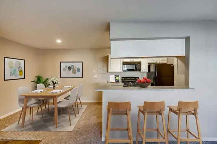 Rent Apartments in Denver with Great Amenities Near Cherry Creek