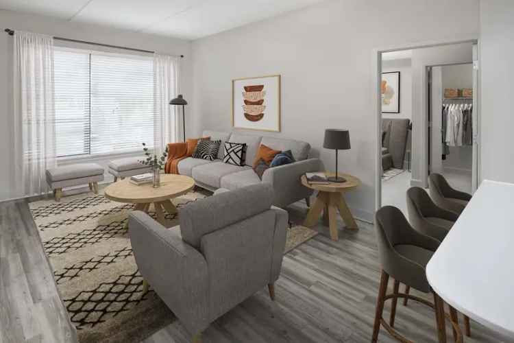 Rent Apartments in Downtown Orlando with Rooftop Amenities and Pet-Friendly Options