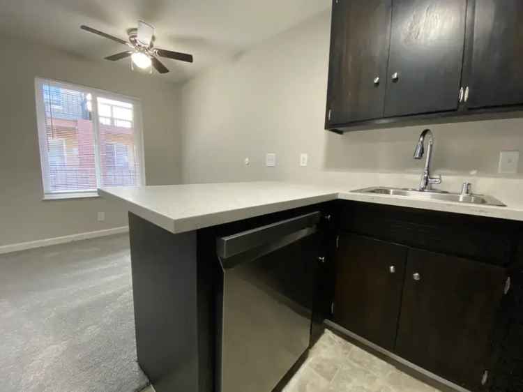 Rent 1 Bedroom Apartment in Oakland with Modern Features