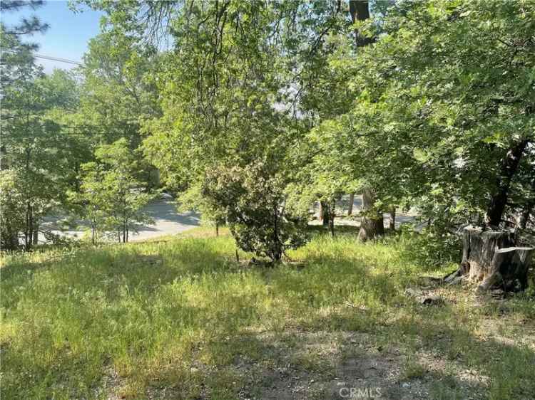 Land For Sale in Lake Arrowhead, California