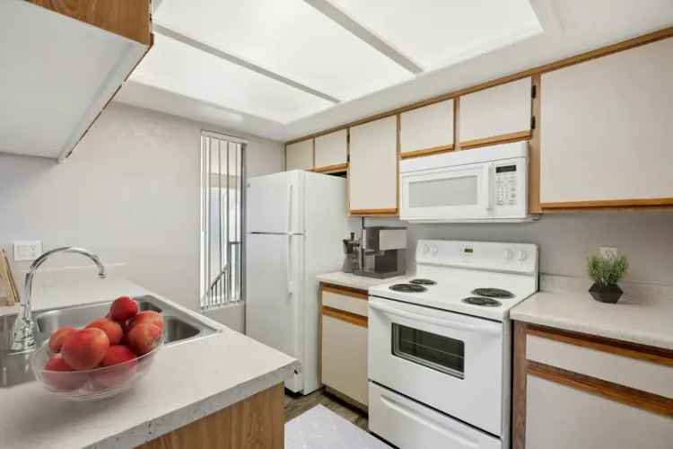 Rent Apartments in Mesa Arizona with Modern Interiors and Amenities