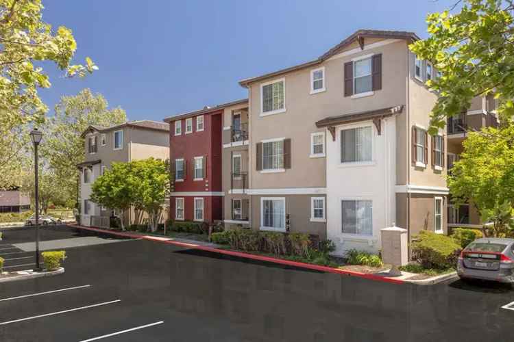 Rent Two Bedroom Apartments Near San Ramon CA with Great Amenities