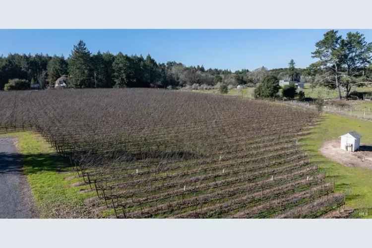 Buy House in Sebastopol with Vineyard and Luxury Features