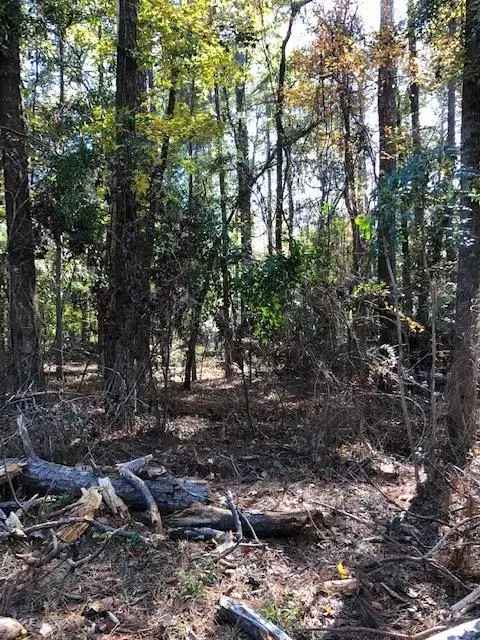 Buy Lot in Eufaula with Prime Location and Great Features