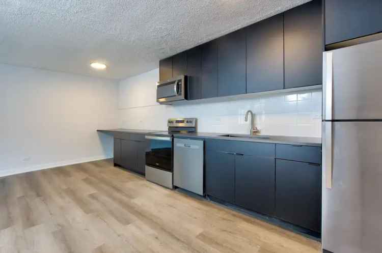 Rent Apartments at Rhythm & Blues Oak Park with Amazing Amenities