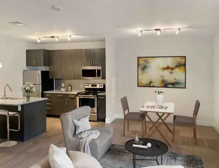 Luxury Apartment Rentals in Norristown with Modern Amenities