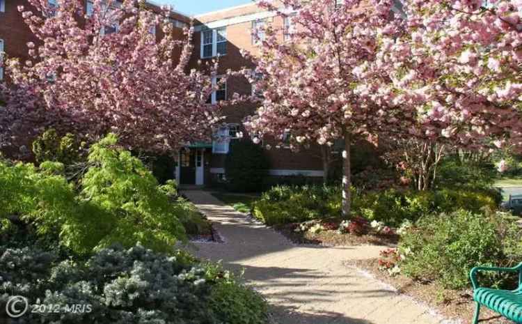 Rent Spacious 2 Bedroom Condo in Arlington with Great Amenities