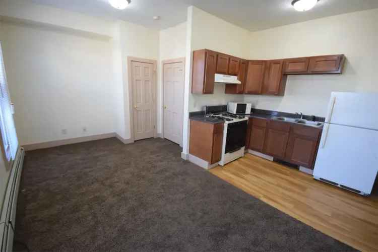 Rent Lower Studio Apartment with Updated Kitchen and Utilities Included