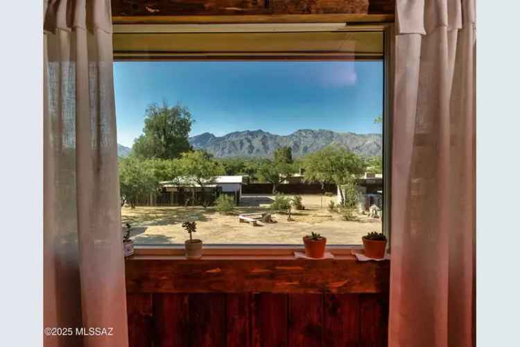 Duplex for Rent in Tucson with Mountain Views and Lush Yard