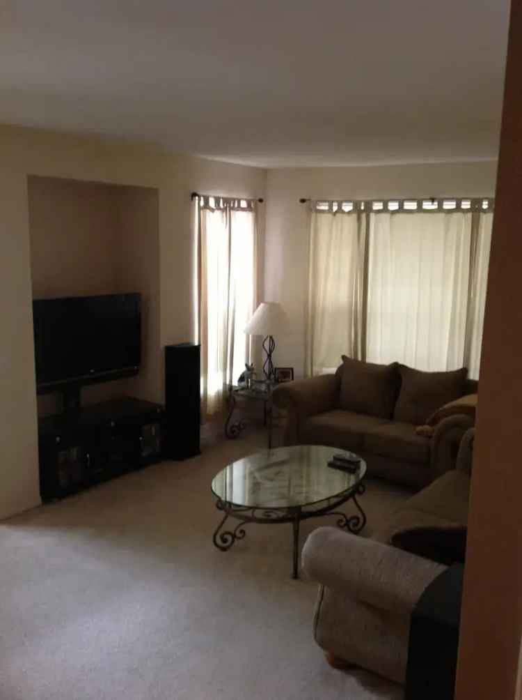 Rent Apartment Unit in Jacksonville with Modern Amenities and Shared Space