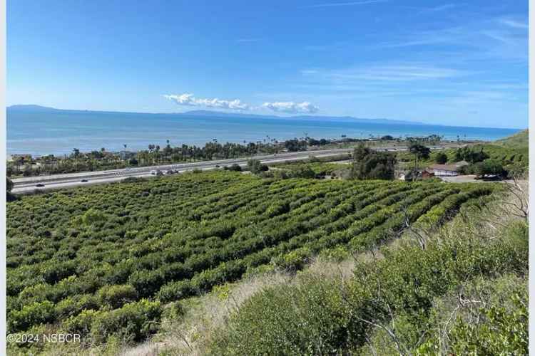 Income-producing ranch agricultural land near Ventura California