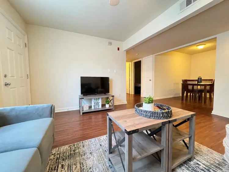 Rent Four Bedroom Apartments Near FSU for Social College Students