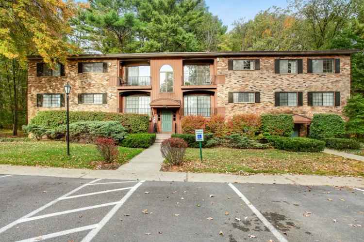 Rent Apartments in Guilderland with Modern Amenities and Nature Views