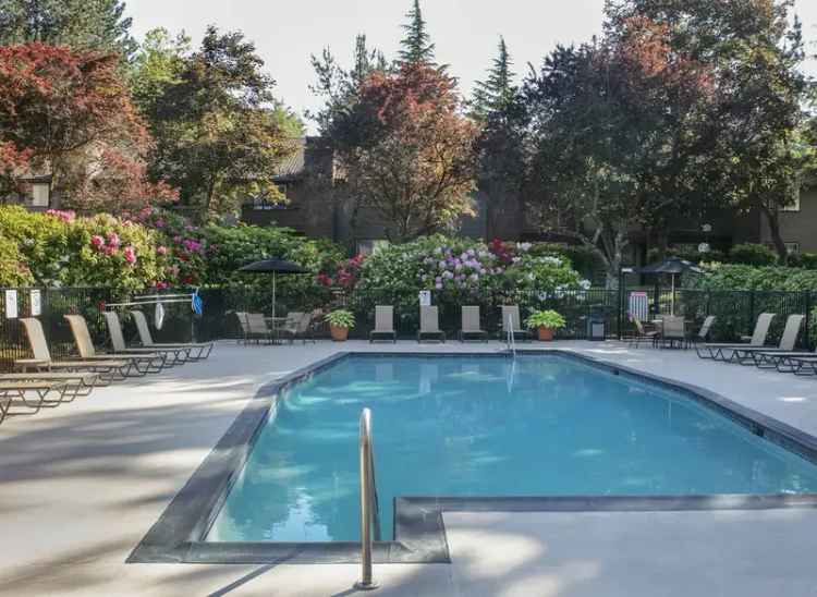 Rent Apartments in Lake Oswego with Modern Amenities and Recreation