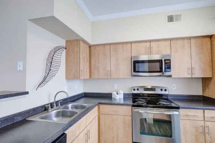 Rent Apartments in Denver with Spacious Floor Plans and Great Amenities