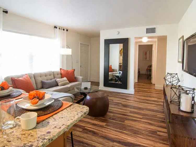 Rent Apartments in Egypt Lake Tampa with Luxury Amenities and Modern Design