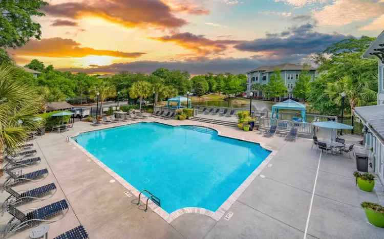 Rent Apartments in Mount Pleasant with Pool and Dog Park Features