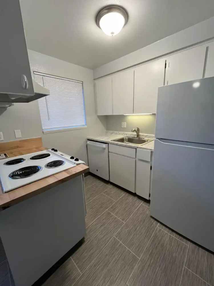 Rent Remodeled Apartments at Cavalier Apartments Centrally Located